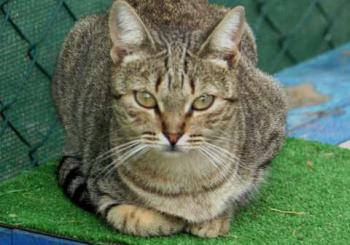 Inga Bild von Inga