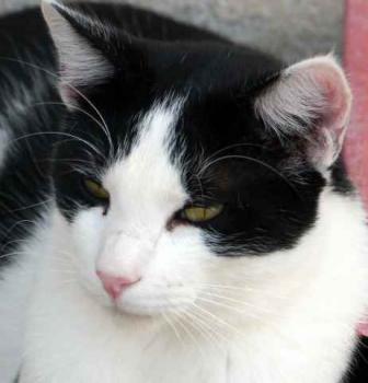 Rocky Bild von Rocky