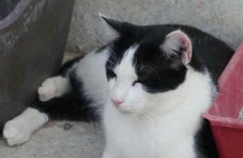 Rocky Bild von Rocky