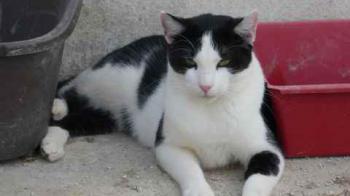 Rocky Bild von Rocky