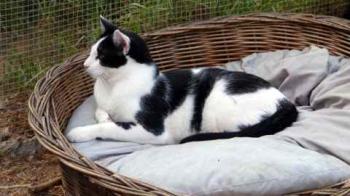 Rocky Bild von Rocky