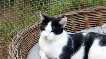 Rocky Bild von Rocky