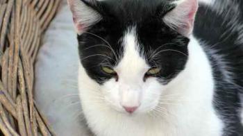 Rocky Bild von Rocky