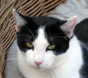 Rocky Bild von Rocky