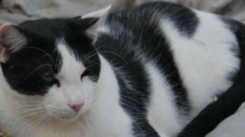 Rocky Bild von Rocky