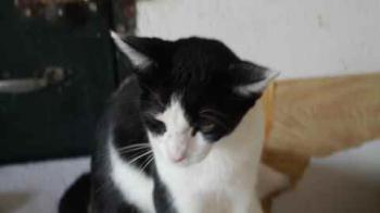 Bild von Fenja