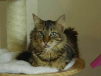 Pepa Bild von Pepa