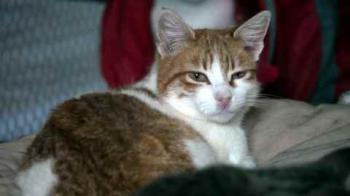 Mandy Bild von Mandy