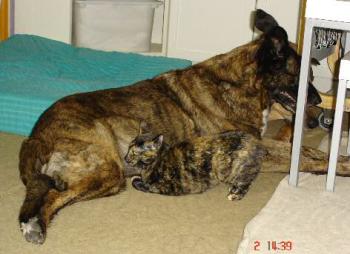 Buffy und ihr Freund Bild von Mori