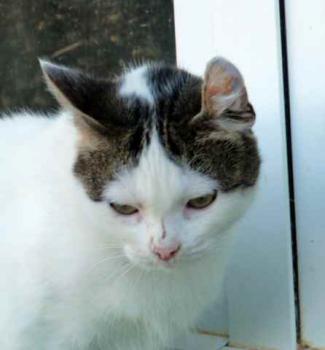 Daisy Bild von Daisy
