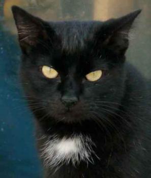 Bild von Sally