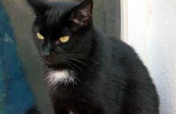 Bild von Sally