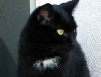 Bild von Sally