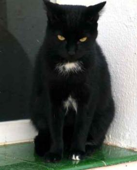 Bild von Sally