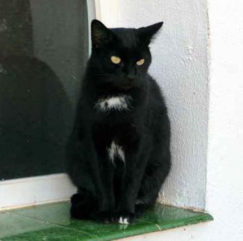 Bild von Sally