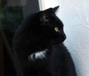 Bild von Sally