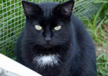 Bild von Sally