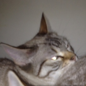 Ohne Namen 5958 Bild von Yushila