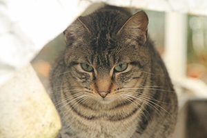 Bild von Leila