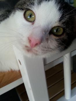 Bill Bild von Bill