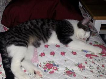 Bill Bild von Bill
