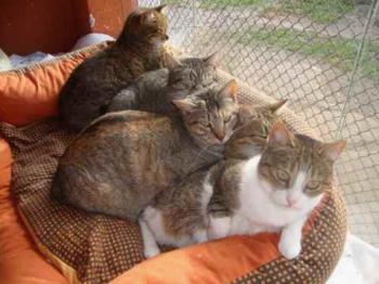 Bild von Sweet
