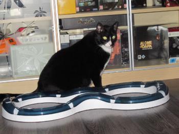 Fito Bild von Fito