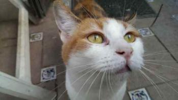 Moix Bild von Moix