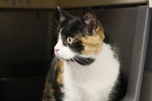 Zulema Bild von Zulema