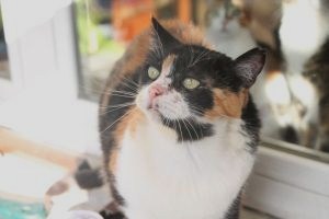Zulema Bild von Zulema