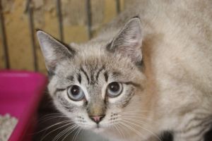 Demeter Bild von Demeter
