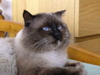 Caspian Bild von Caspian