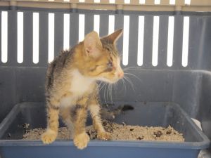 Lucita Bild von Lucita