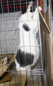 Kiara Bild von Kiara