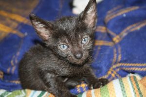 Kiara Bild von Kiara
