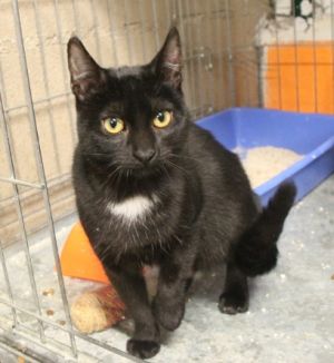 Kiara Bild von Kiara