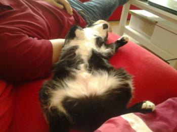 Thomas Bild von Thomas