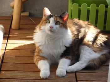 Emely - 4676 Bild von Emely