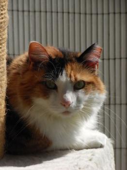 Emely - 4676 Bild von Emely