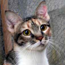 Marie Bild von Marie