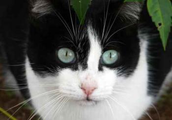 Fritzi Bild von Fritzi