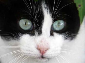 Fritzi Bild von Fritzi