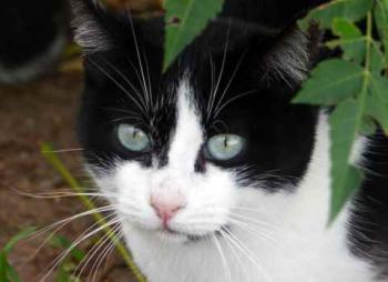 Fritzi Bild von Fritzi