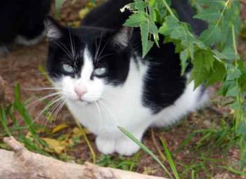 Fritzi Bild von Fritzi