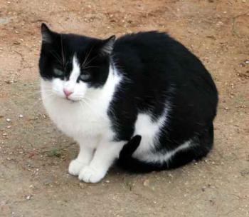 Fritzi Bild von Fritzi