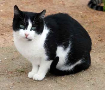 Fritzi Bild von Fritzi