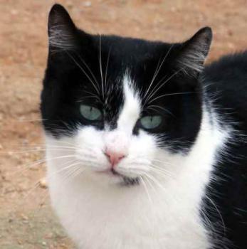 Fritzi Bild von Fritzi