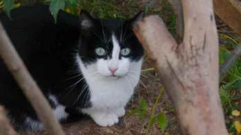 Fritzi Bild von Fritzi