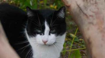 Fritzi Bild von Fritzi