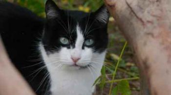 Fritzi Bild von Fritzi